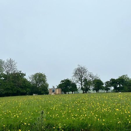 Hotel Off Grid Shepherds Hut Llansilin Esterno foto