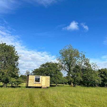 Hotel Off Grid Shepherds Hut Llansilin Esterno foto