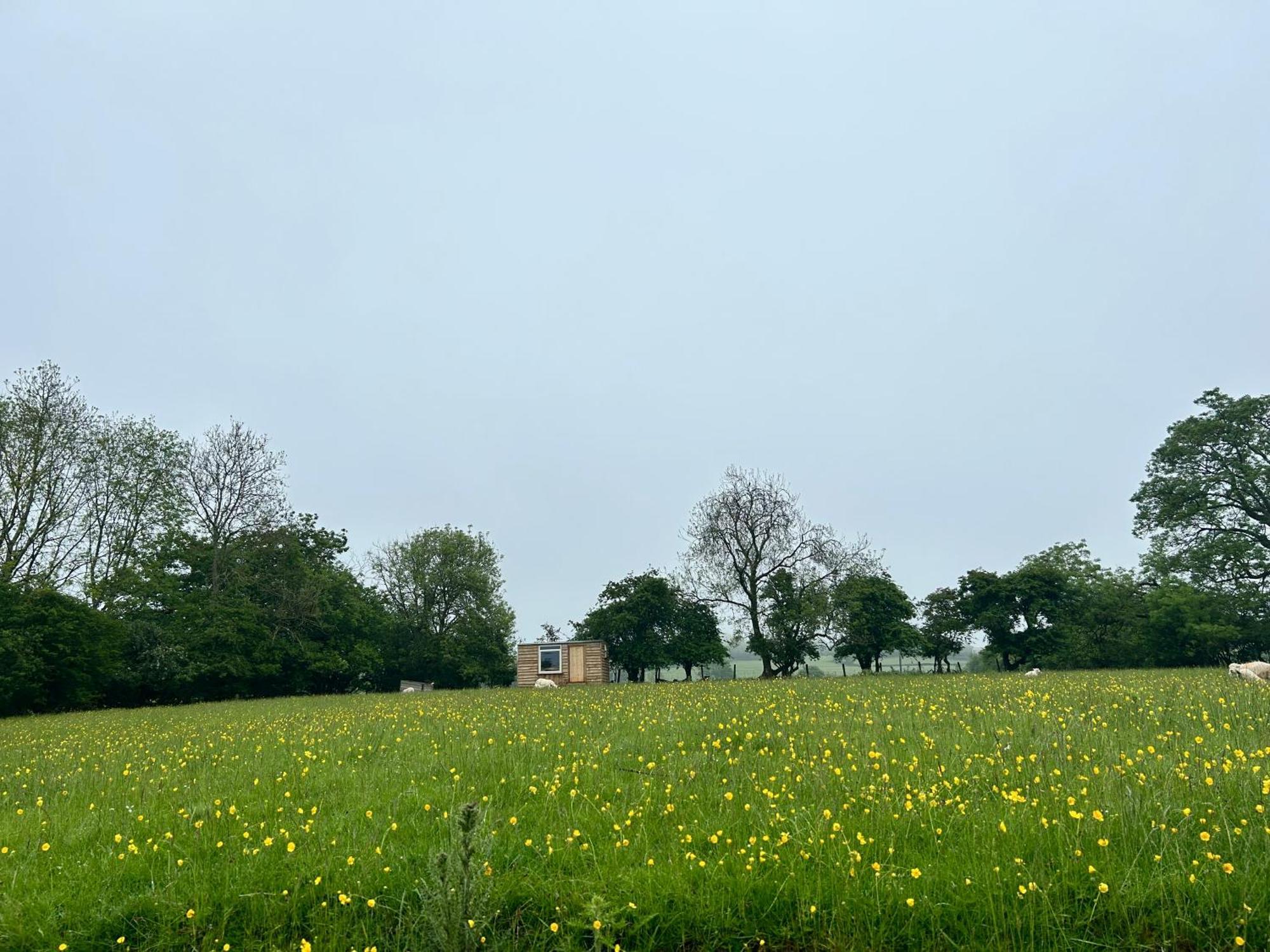 Hotel Off Grid Shepherds Hut Llansilin Esterno foto