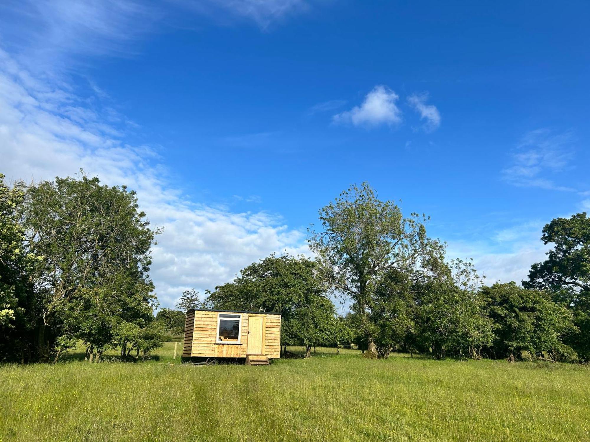 Hotel Off Grid Shepherds Hut Llansilin Esterno foto